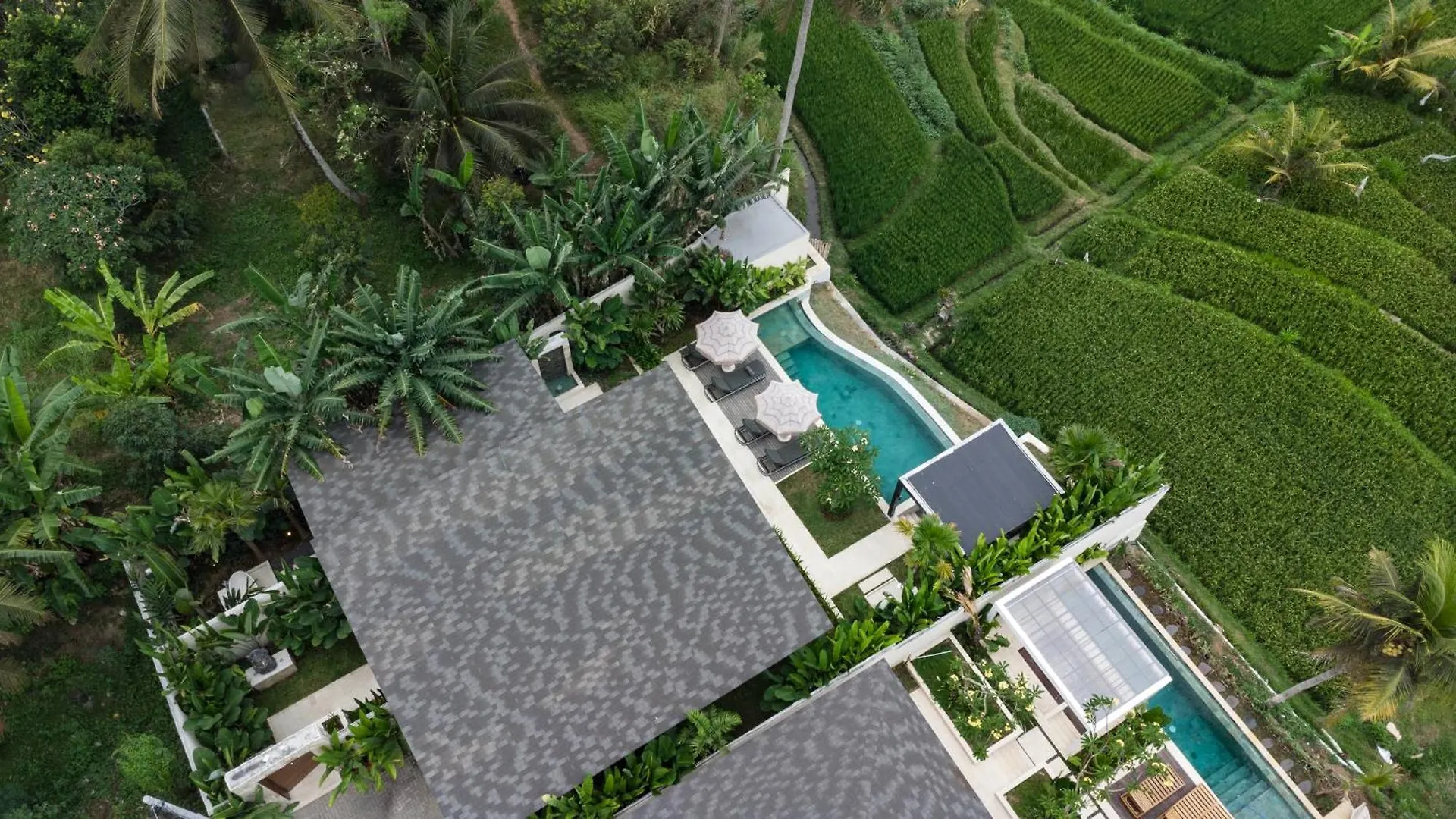 Villa Carpe Diem By Balisuperhost Ubud  Indonesia